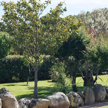 Les Jardins De Santa Giulia - Charmante Chambre D'Hote 2 بورتو فيكشْيو المظهر الخارجي الصورة