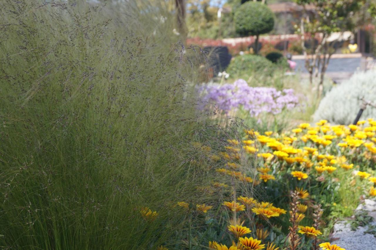 Les Jardins De Santa Giulia - Charmante Chambre D'Hote 2 بورتو فيكشْيو المظهر الخارجي الصورة